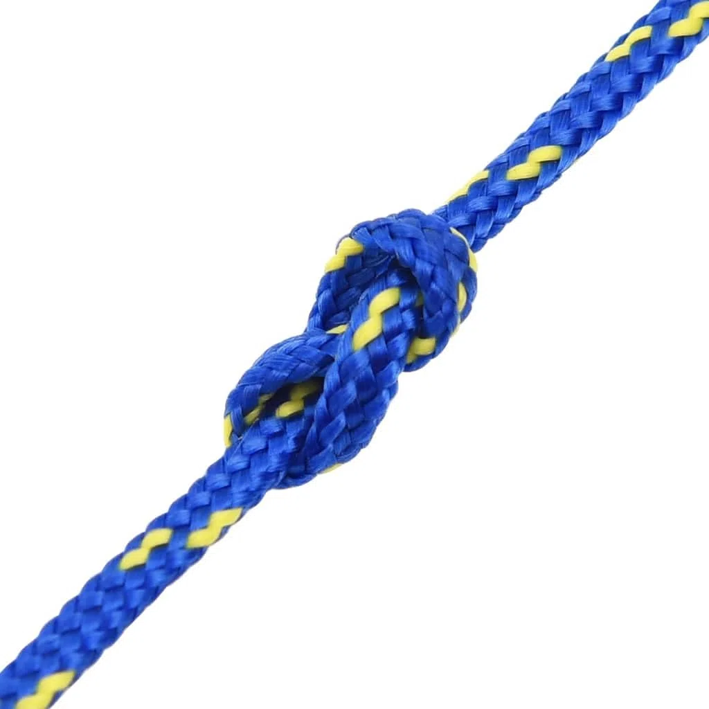 Cuerda Trenzada de la línea Outdoor, Cuerda for Barcos Polipropileno 240kg Resistente a roturas Multicolor Trenzado de Varios tamaños(Blue/100m,2 mm)