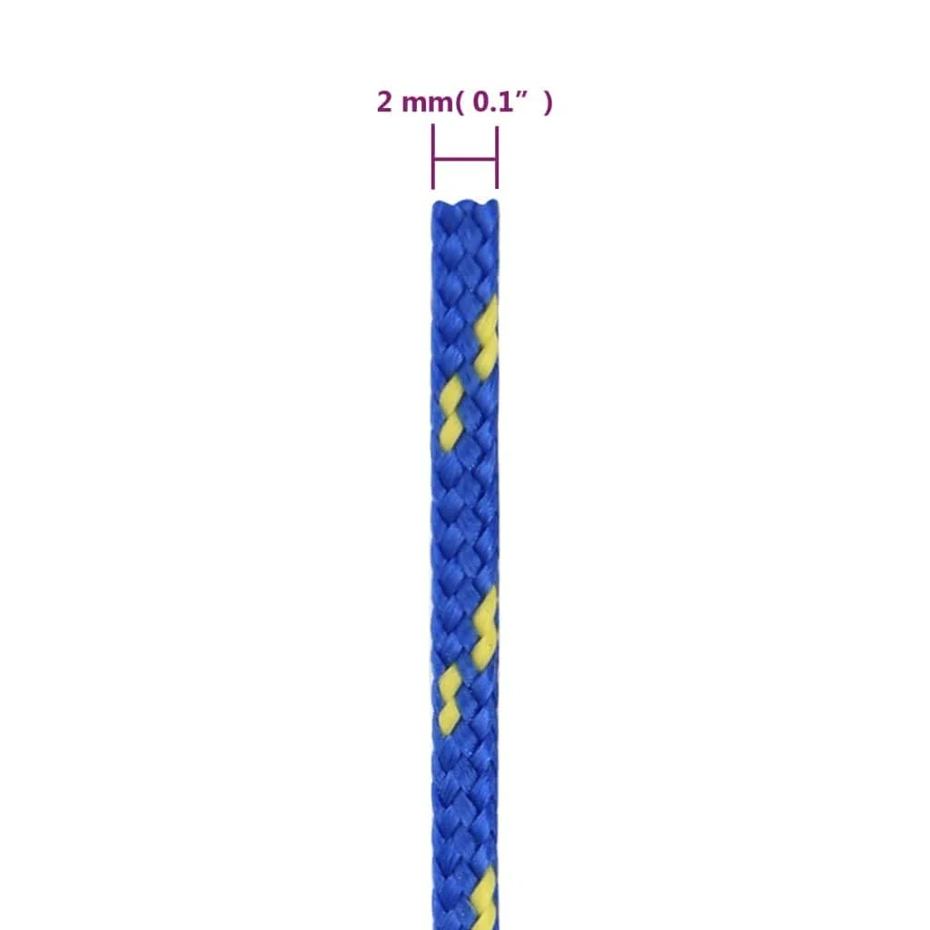 Cuerda Trenzada de la línea Outdoor, Cuerda for Barcos Polipropileno 240kg Resistente a roturas Multicolor Trenzado de Varios tamaños(Blue/100m,2 mm)